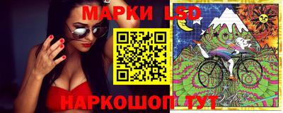 стафф Краснознаменск