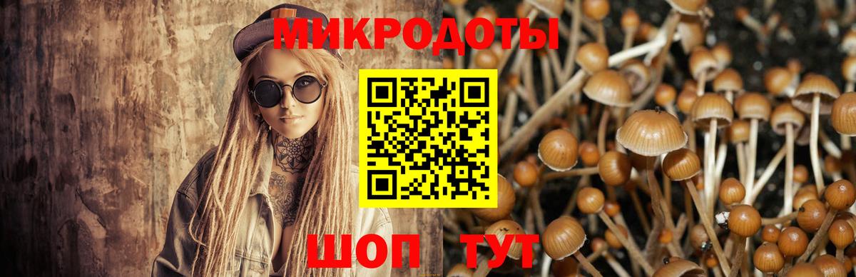 Псилоцибиновые грибы ЛСД Всеволожск