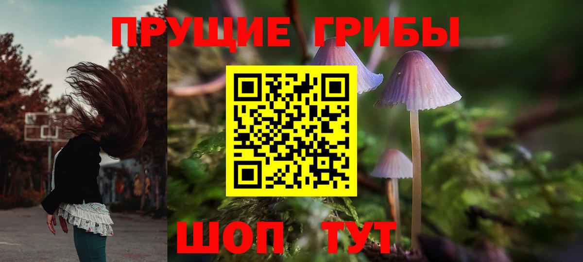 Псилоцибиновые грибы Magic Shrooms  Вход с VPN  Всеволожск 